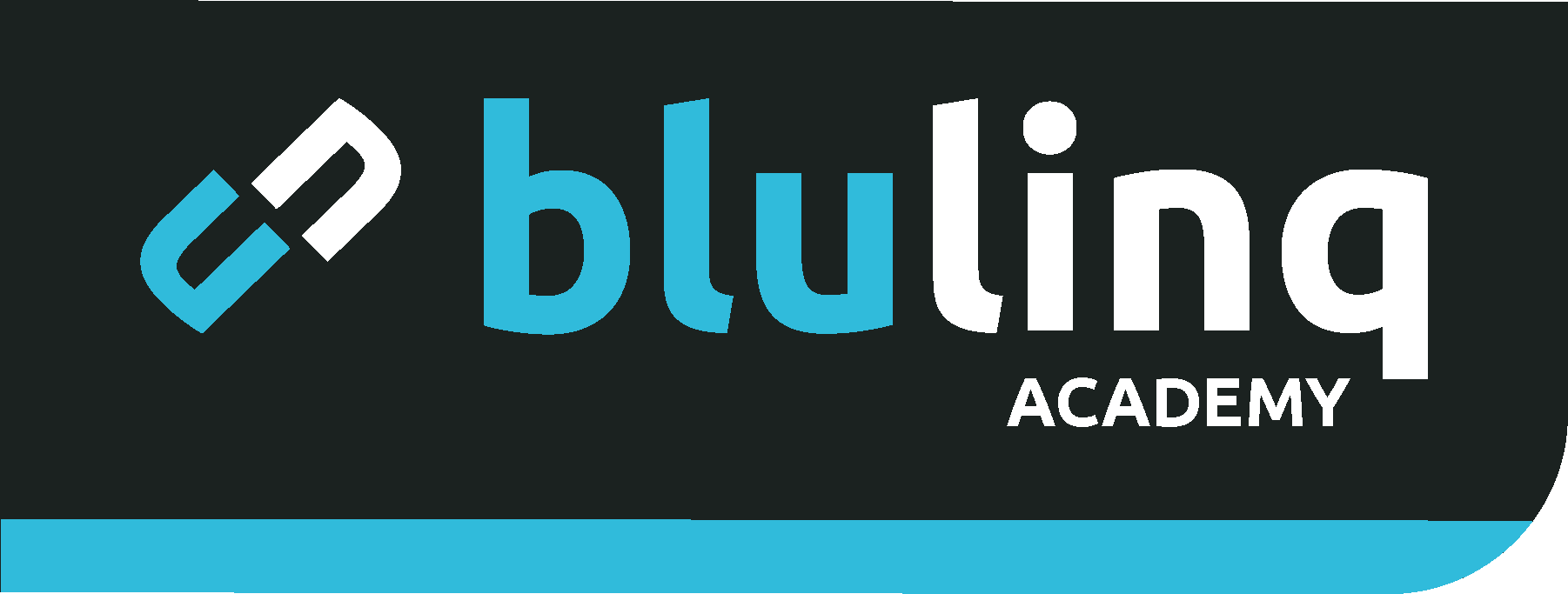 Blulinq_academy